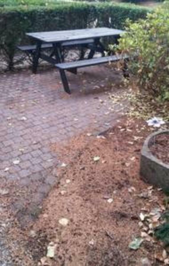 Appartement De Groote Peel Nederweert Esterno foto