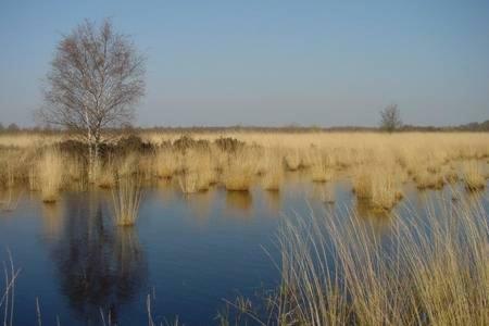 Appartement De Groote Peel Nederweert Esterno foto